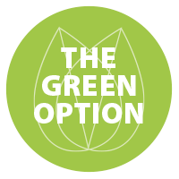 the green option icon